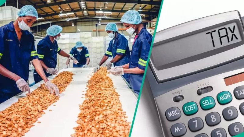 7 Categories of Nigerians Who Must Pay Tax Under New 2026 Law