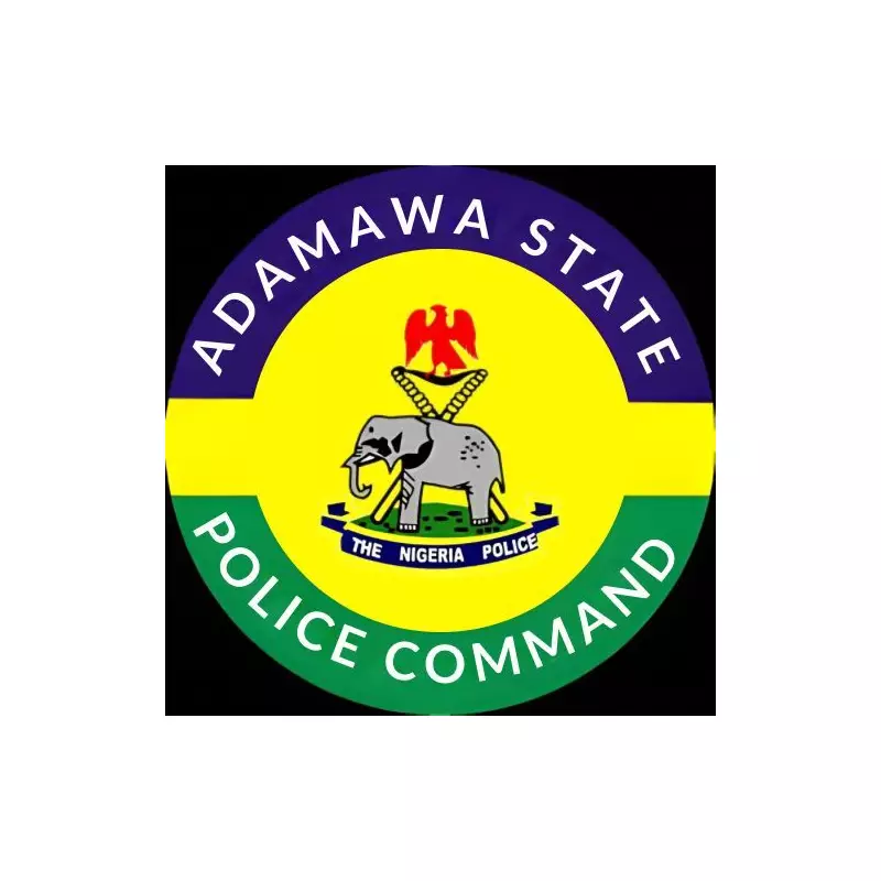 Adamawa Police Probe Acid Attack on 17-Year-Old Boy in Yola