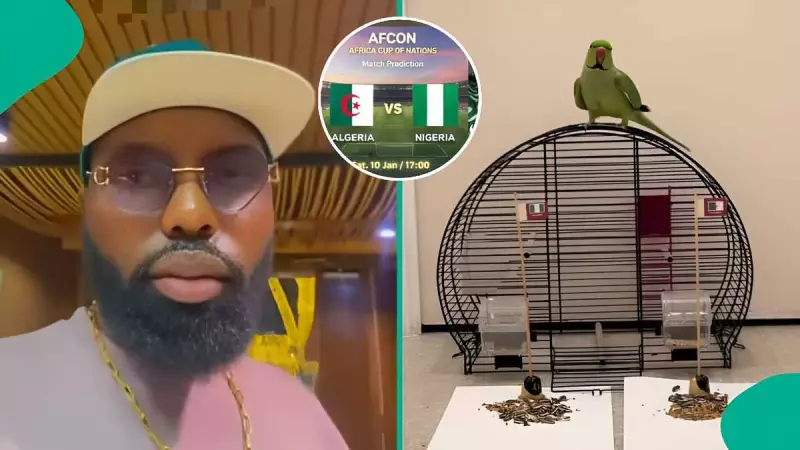 AFCON 2025: Man Reacts as Parrot With 100% Prediction Rate Picks Nigeria Over Algeria