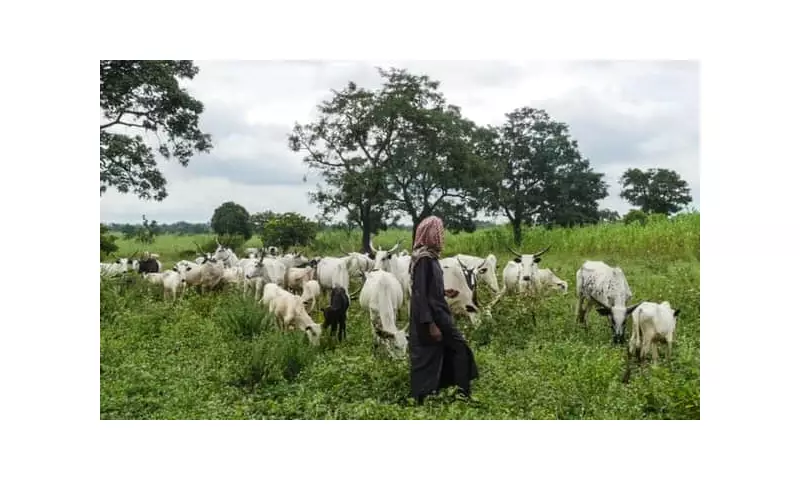 Agatu LG Chairman Orders Herders Out, Revokes 2017 Grazing Deal Over Killings