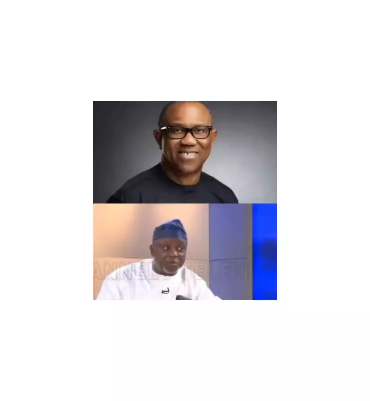 APC Chieftain Claims Peter Obi Has Lost Control of South East Ahead of 2027