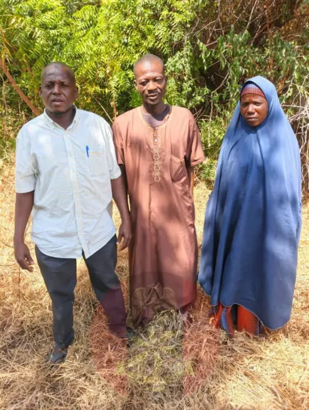 Army Neutralises 5 Terrorists, Rescues 3 Hostages in Borno Operation