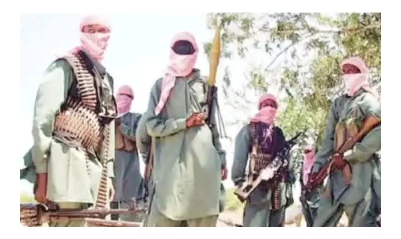 Bandits Breach Peace Treaty in Katsina, Kill 8 and Injure 11 in Midnight Raids