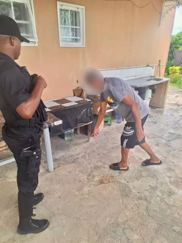 Bold Thief Steals Cooking Pot of Chicken Curry on Fire in South Africa