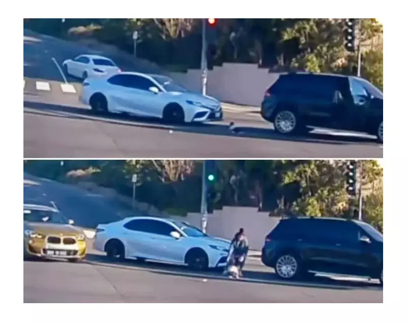 California Mother Arrested After Viral Video Shows Toddler Ejected from Moving SUV