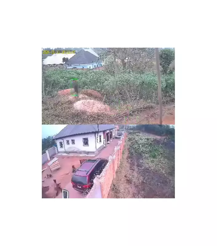 CCTV Captures Ekpoma Kidnapping, 24 Hours After Anti-Abduction Protest