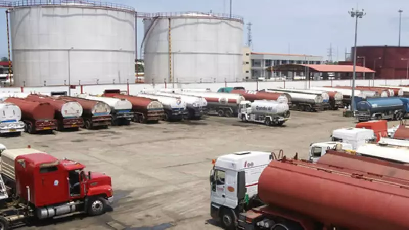DAPPMAN Supplies 60% of Nigeria's Petrol, Vows to Bolster Energy Security