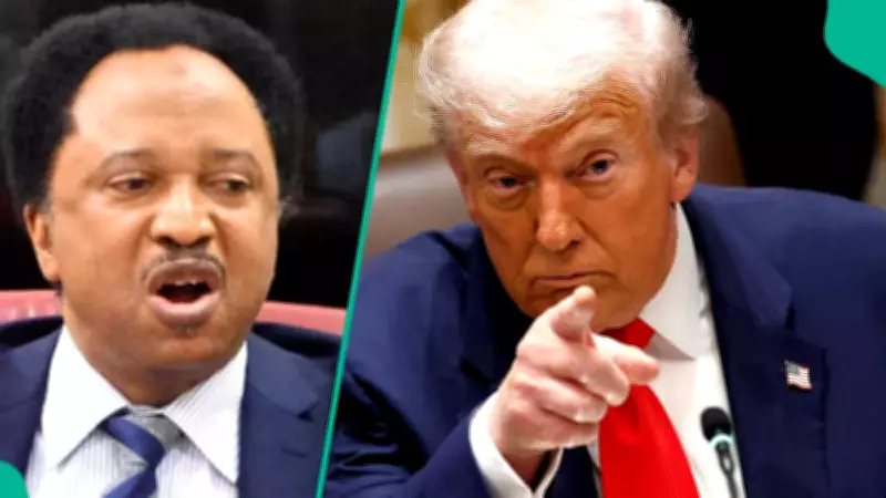 Ex-Senator Shehu Sani Urges Nigerians in US to Return Home Amid Trump Deportation Drive