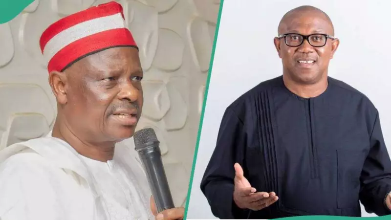 Fact-Check: Did Kwankwaso Accept Peter Obi's Vice-Presidential Offer for 2027?