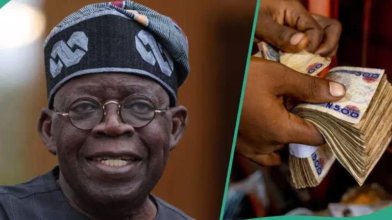 FG Opens YEIDEP Batch B Portal: How to Apply for ₦50,000 to ₦500,000 Grant