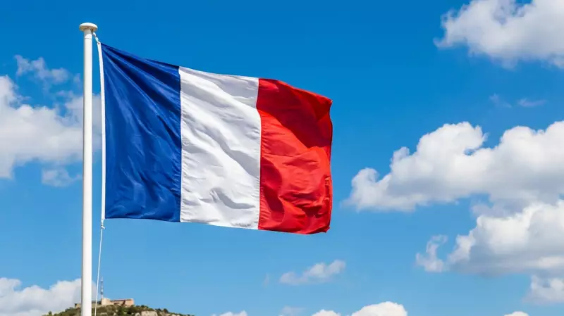 France Investigates Infant Deaths Amid Major Powdered Milk Recall Crisis