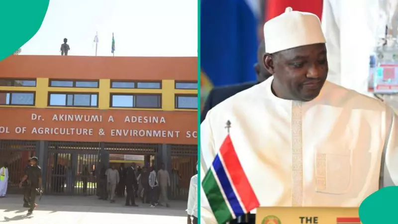 Gambian University Renames School After Nigeria's Akinwumi Adesina