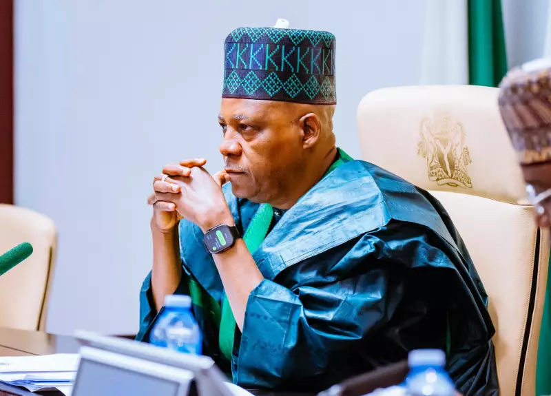 Inside Shettima's Office: Aide Reveals VP's Late-Night Work Ethic & Strategy