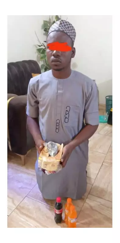 Kano Correctional Service Nabs 20-Year-Old for Alleged Indian Hemp Smuggling in Bread