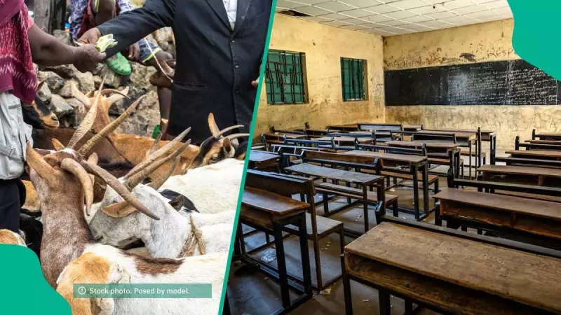 Kwara South Residents Decry School Closures as Cattle Markets Reopen Amid Banditry Fears