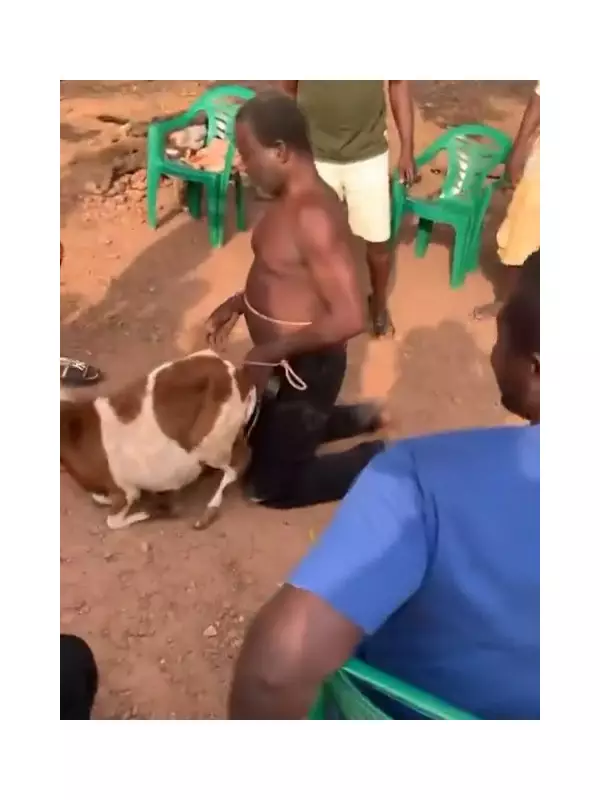 Man Publicly Flogged and Humiliated for Alleged Bestiality with Sheep in Ghana