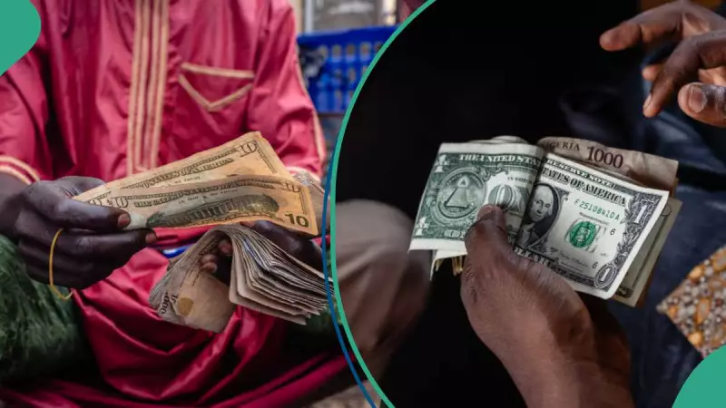 Naira Rebounds Against US Dollar in Official Market, Mixed Performance Across Forex