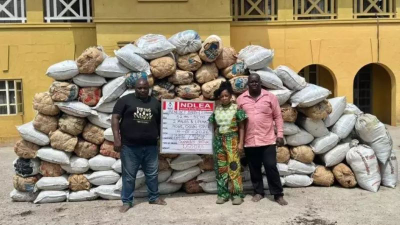 NDLEA Busts Drug Ring in Ogun, Seizes 1.6 Tonnes of Cannabis
