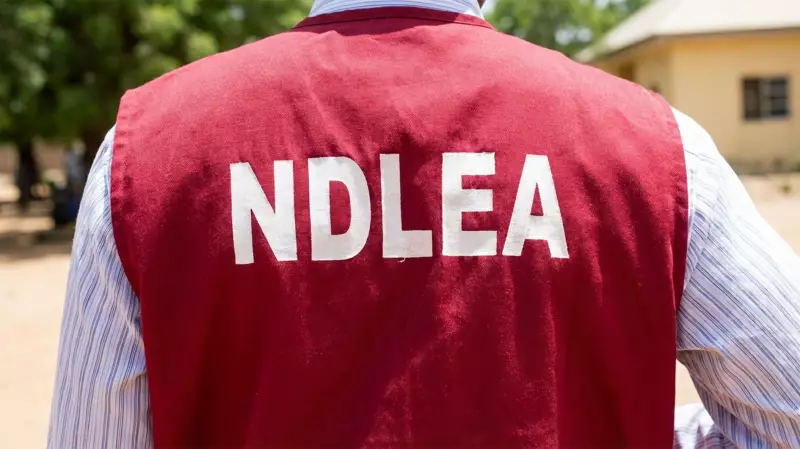 NDLEA, Customs Seize 30.1kg Cocaine at Apapa Port in Major 2026 Bust