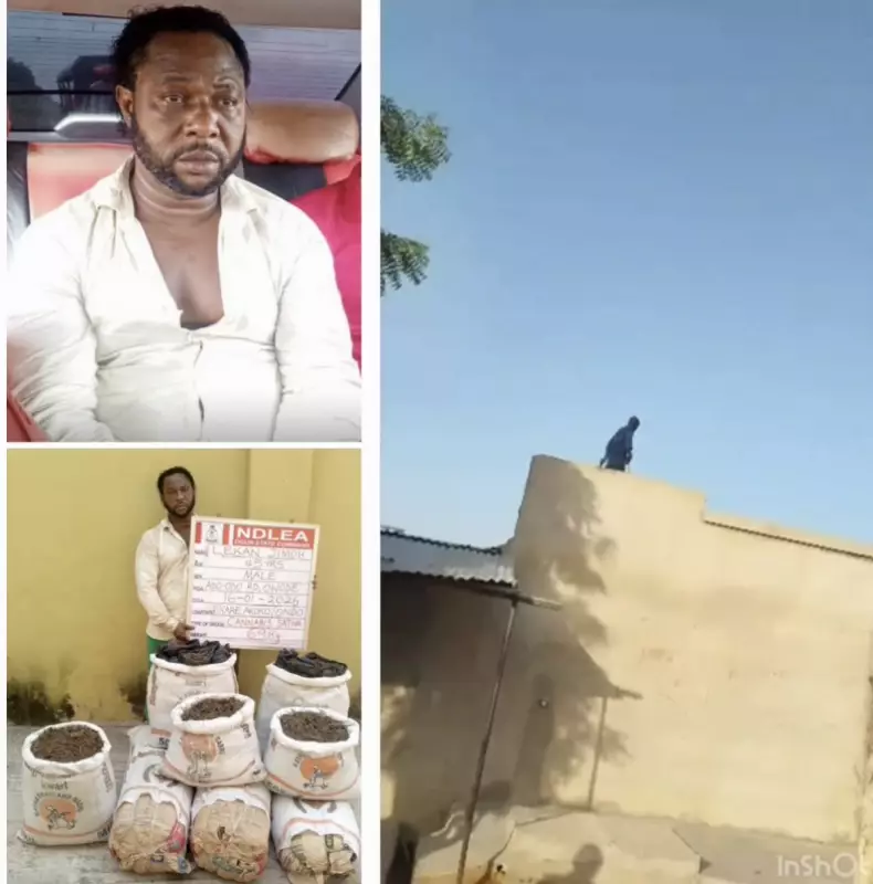 NDLEA Nabs Wanted Kingpin 'Kanmo-Kanmo' After 12-Year Manhunt for Murder of Officers