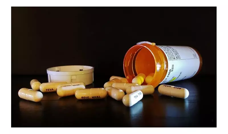 NDLEA's New Plan: Primary Control Strategy to Shield University Freshers from Drugs