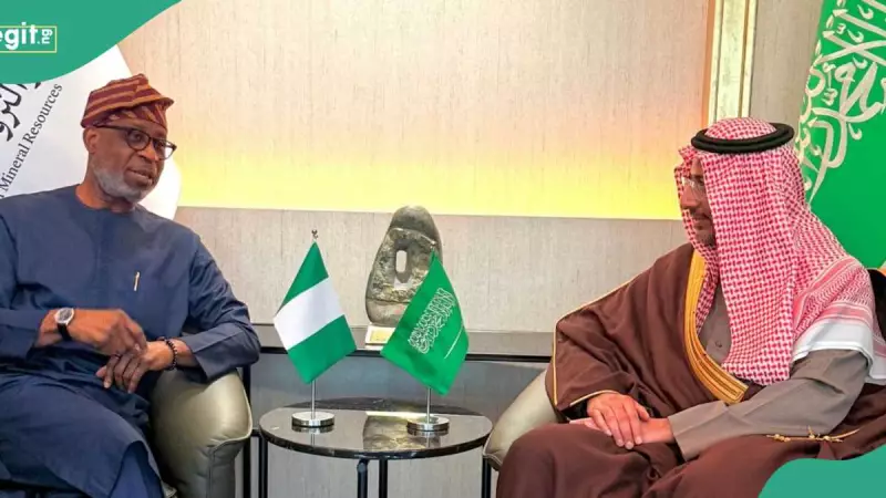 Nigeria Launches Gold Refinery, $600m Lithium Plant in Major Mining Shift