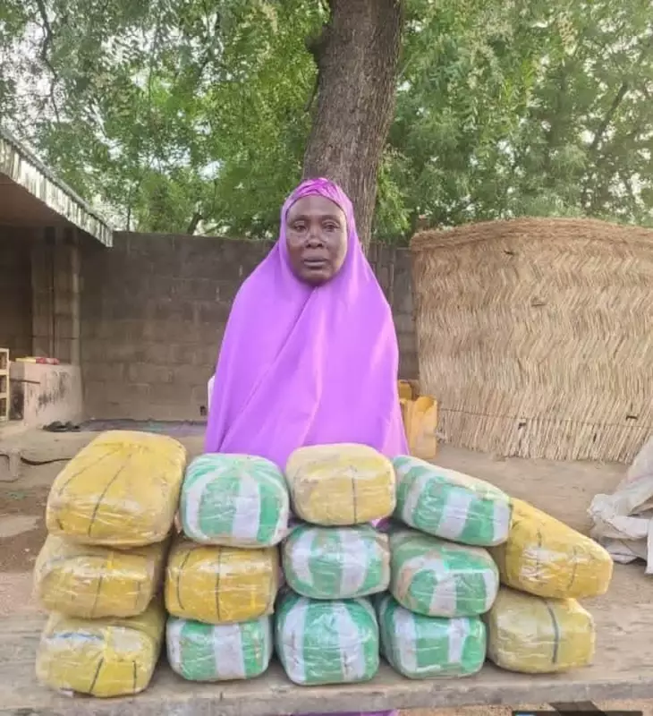 Nigerian Army Arrests 65-Year-Old Woman for Alleged Drug Supply to Boko Haram in Borno