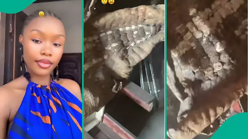 Nigerian Lady Discovers Mysterious Object at Grandmother's Home, Sparks Online Debate