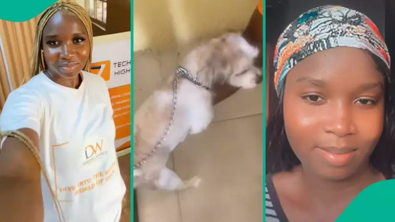Nigerian Office Erupts in Tension as HR Manager Confronts Employee Over Pet Dog