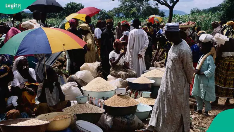 Nigeria's 2026 Tax Reforms: 7 Hidden Benefits for Workers & SMEs