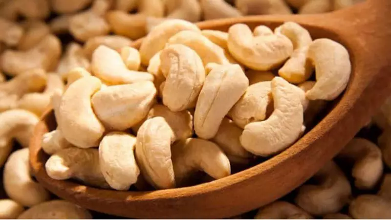 Nigeria's Cashew Sector Holds $10 Billion Yearly Potential, Says NCAN