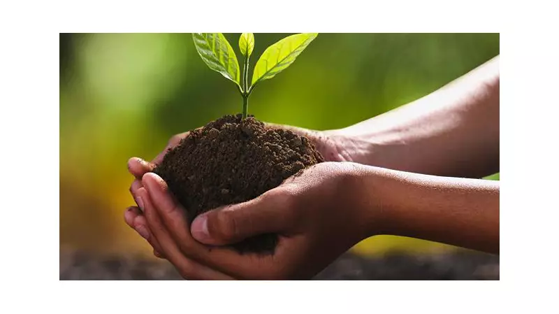 Nigeria's FMAFS and IITA Forge Partnership to Enhance Soil Health and Food Security