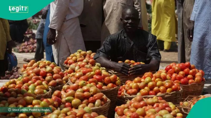 Nigeria's Tomato Prices Hit 12-Year Low as Production Soars in 2025