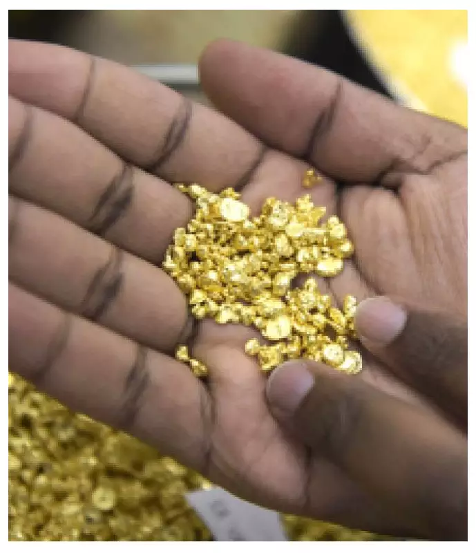 Northern Elders Condemn Lagos Gold Refinery, Cite Constitutional Breach