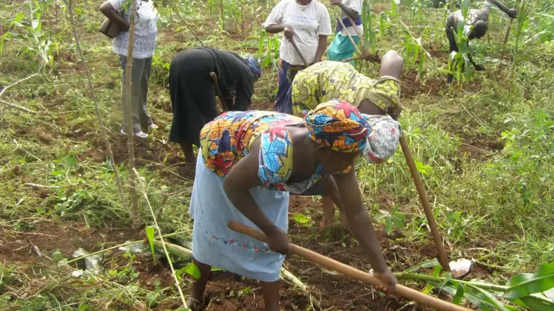 PAWISCA Empowers 5,000+ Nigerian Women for Food Security & Export Growth
