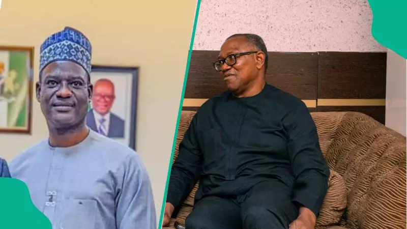 Peter Obi Criticises Nigeria's New Tax Laws, Warns of Investment Risks