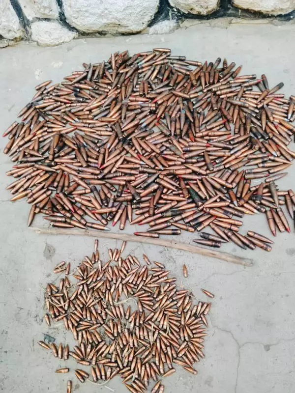 Police Uncover 912 Rounds of Ammunition in Maiduguri Raid