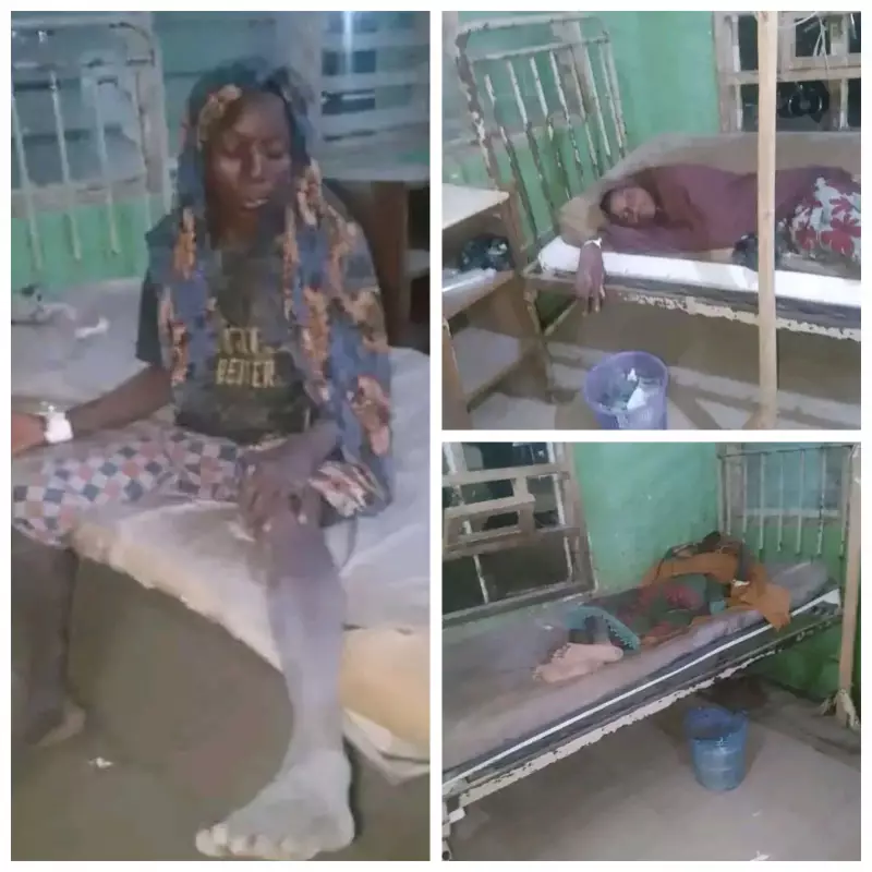 Sokoto Bride, Family, and Friends Freed After 7 Weeks in Bandit Captivity