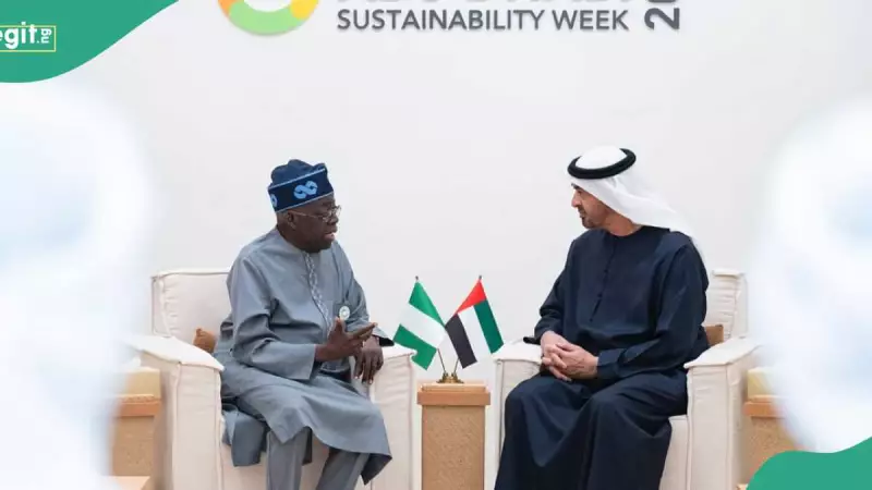 Tinubu Returns from Abu Dhabi with $30bn Climate Finance Plan, UAE Deal