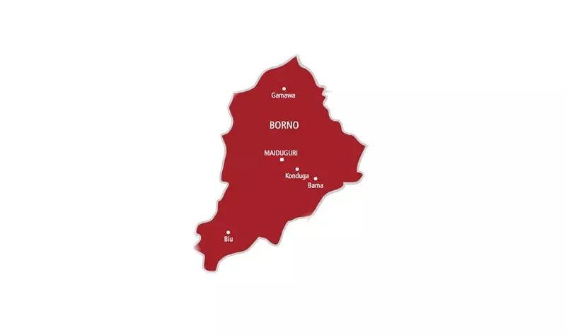 Tragedy in Borno: Five Children Killed as Fence Collapses in Maiduguri