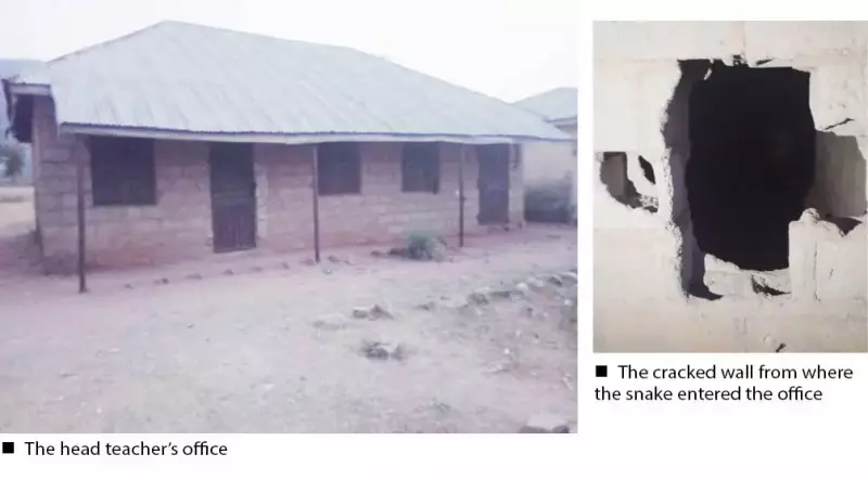 Tragic Snake Attack Claims Life of FCT Primary School Head Teacher