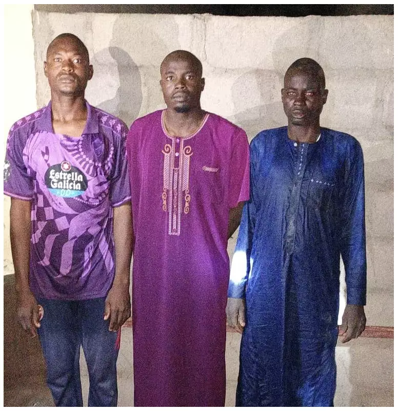 Troops Arrest 3 Suspected ISWAP Recruiters in Borno Town