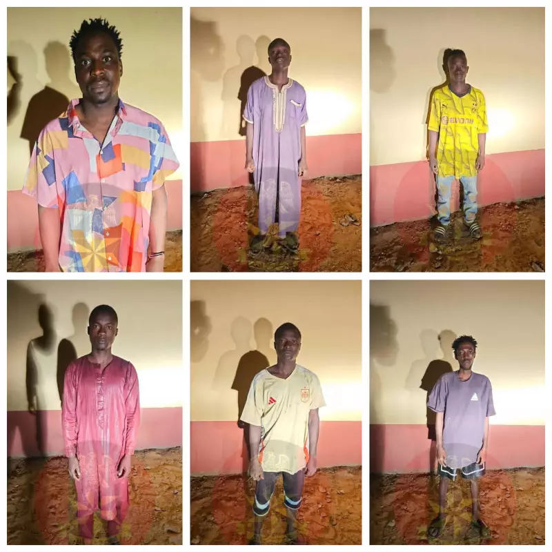 Troops Dismantle Suicide Bombing Network, Intercept Terrorists' Logistics in Adamawa