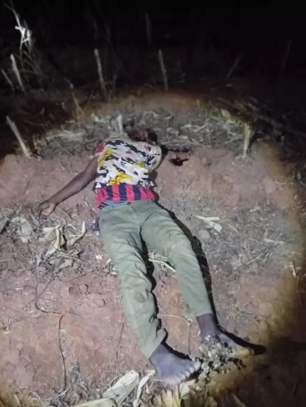 Troops Neutralise Notorious Bandit Sadiq Isah, Recover Arms in Plateau Raid