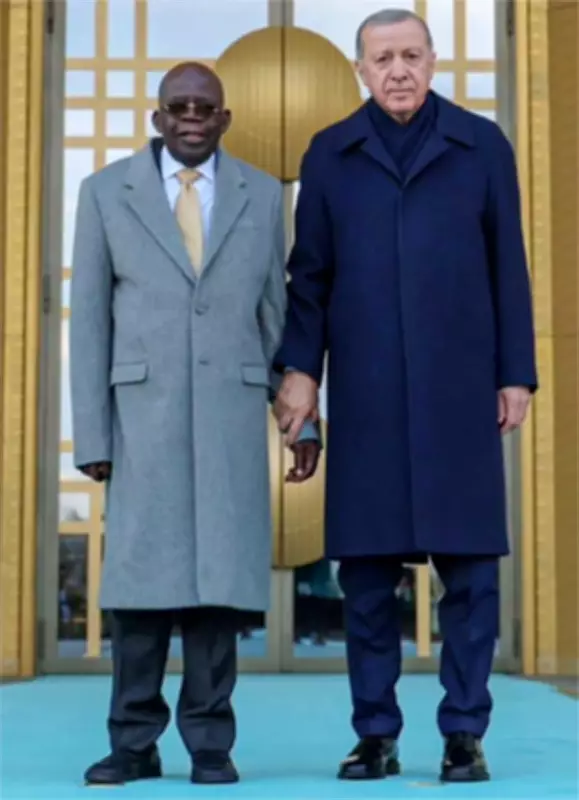 Turkish Officials Surprised by Nigerian Media Focus on Tinubu's Stumble - Dabiri-Erewa