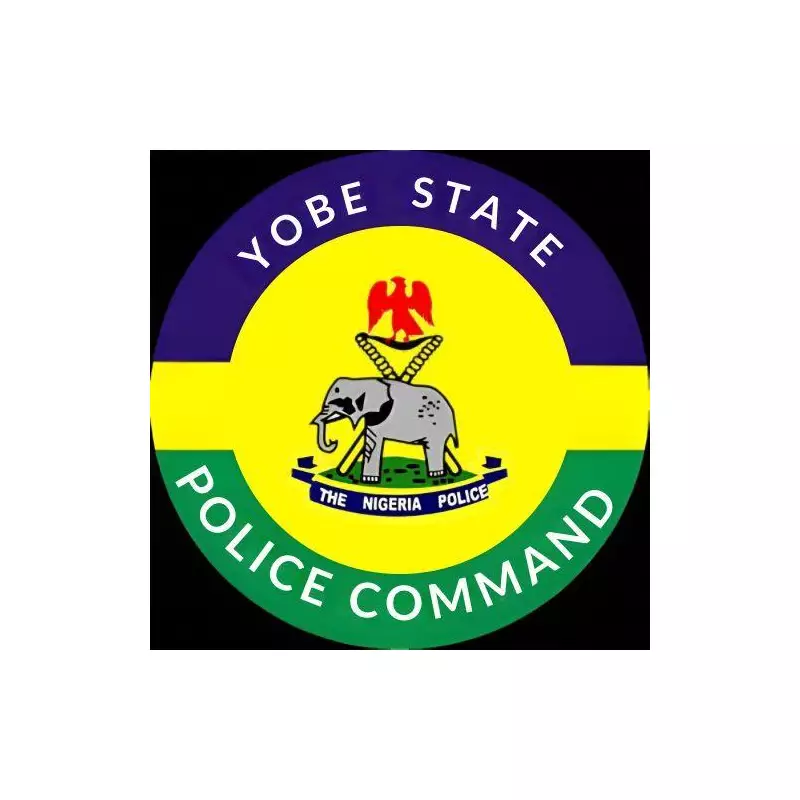 Wedding Feud in Yobe Turns Deadly: One Killed, Several Injured in Family Clash