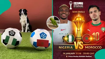 AFCON 2025: Parrot, Cat, and Dog Predict Morocco vs Nigeria Semi-Final Winner