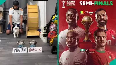 AFCON 2026: Cat's Viral Prediction for Nigeria vs Morocco Semi-final
