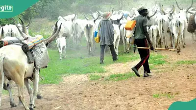 Benue Attack: Armed Herdsmen Kill 2 Security Operatives in Udeku