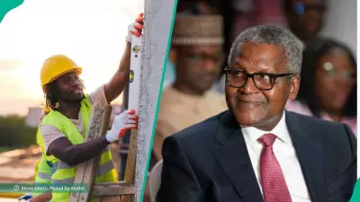 Dangote Group Opens 40+ New Jobs for 2026: ND, Degree Holders Can Apply